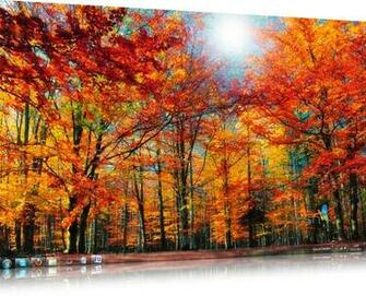 Msn Wallpaper And Screensaver Pack Autumn Baixaki