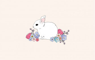 Bunny Aesthetic Wallpaper
