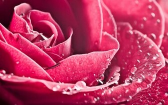 Awesome Pink Background