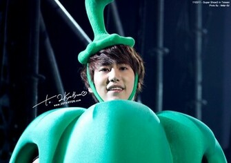 Super Junior