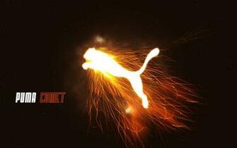 Puma Comet Logo Wallpaper And Image Pictures Photos