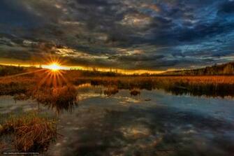 Wallpaper Swamp Sun Sunset Desktop In The