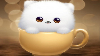 Cute Laptop Background Wallpaper