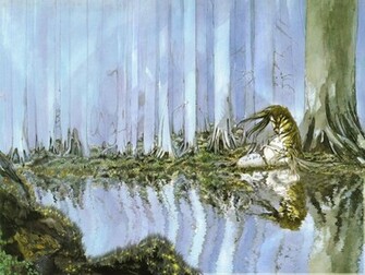 Yoshitaka Amano Wallpaper Fairy Minitokyo