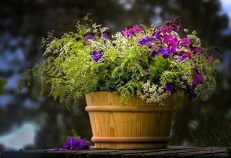 Wooden Flower Pot Wallpaper