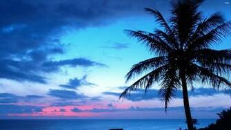 Blue Sunset Wallpaper