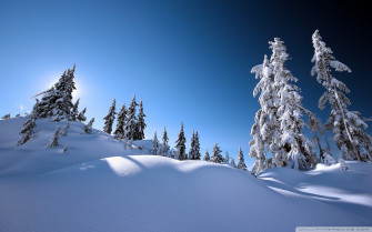 Winter Scenery Wallpaper