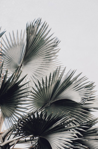 White Aesthetic Pictures Image