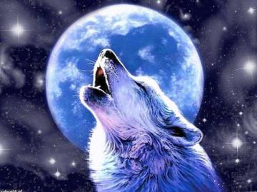 Wolf Howling At The Moon Wallpaper HD Background Image