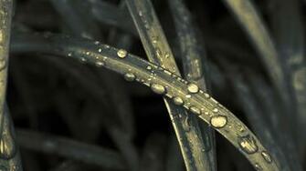 Minimal Water Drop Full HD Wallpaper 1080p