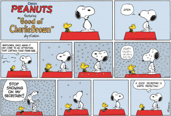 The Meaning Behind Woodstock Character In Peanuts Wallpaper