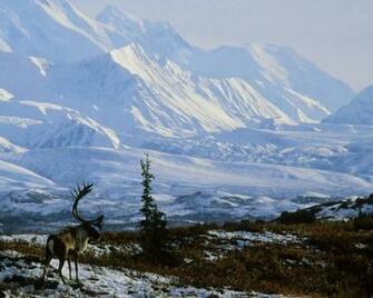 Winter Desktop Background