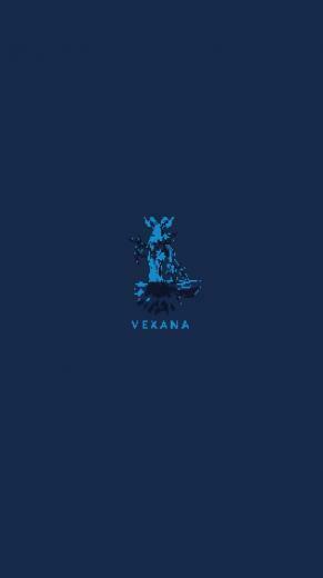 8bits Wallpaper Vexana Mobilelegends Mobile Legends