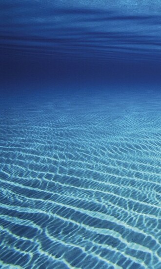 Ocean Floor Wallpaper