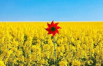 HD Wallpaper Mood Nature Pinwheel Red Sky Widescreen Yellow