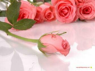 Messages Quotes Image Pictures Poems Wallpaper Valentine Flowers