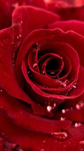 6s Wallpaper HD Fond D Cran iPhone