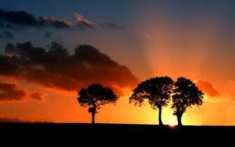 Park Sunset Wallpaper For Desktop Background Animals Zoo