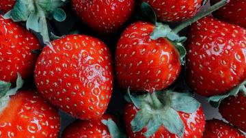 Macro Berry Wallpaper Resolution Id Wallha