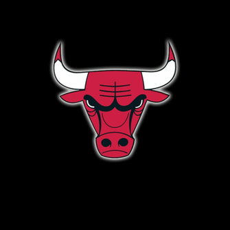 Nba Chicago Bulls Basketball Team Logo On Wood HD Wallpaper Short