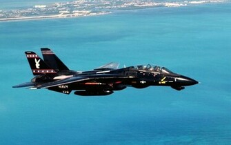Tomcat HD Wallpaper Pictures
