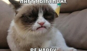 Funny BirtHDay Cat Wide Wallpaper