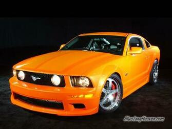 Mustang Wallpaper Mustangs