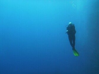 Scuba Diving Underwater Wallpaper Oceans