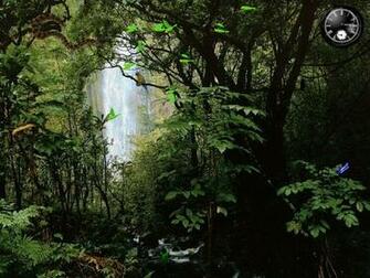 Screensaver Rainy Forest Fullscreensavers