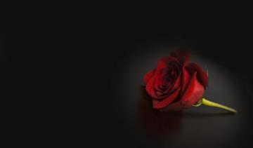 Aesthetic Background Laptop Red Largest Wallpaper Portal