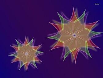 Colorful Flowers Wallpaper Abstract