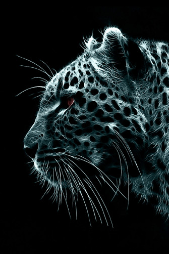iPhone 4s HD Wallpaperenjoy These Hq