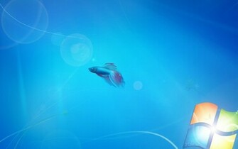 Live Wallpaper HD For Windows