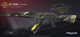 Akr Dragon Standoff Wallpaper