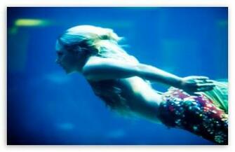 HD I Think Just Saw A Mermaid Wallpaper Background Ventube