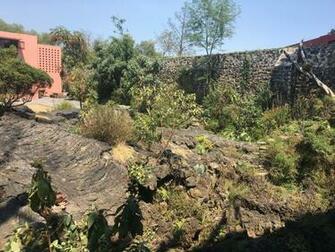 Depave Paradise Invisible