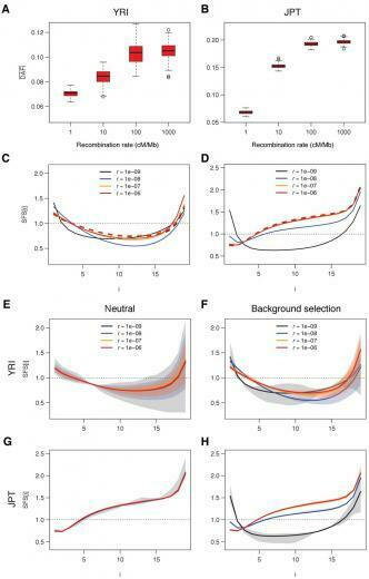 Figures And Data In Background Selection Biased Gene