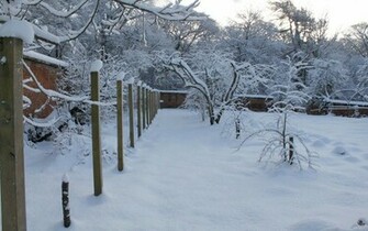 Winter Wonderland Pictures Wallpaper