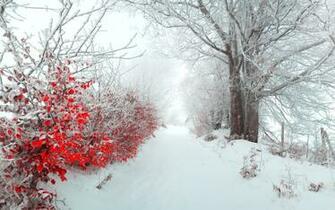 HD Widescreen Wallpaper Right Click The Select Set As