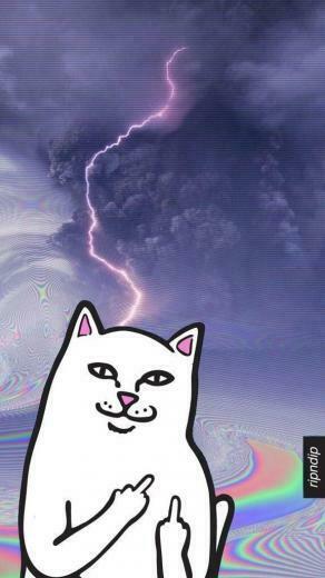 Ripndip Trippy In Wallpaper Cute