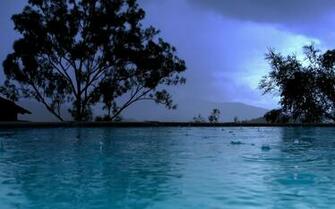 Rain Falling On Trees Desktop