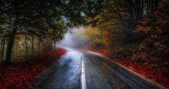 High Resolution Fall Wallpaper 4k