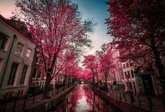 Amsterdam HD Wallpaper Background Image