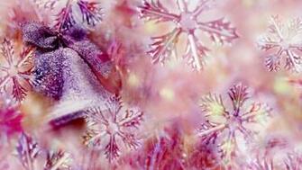 Love Pictures Wallpaper 3d Sweet HD Background