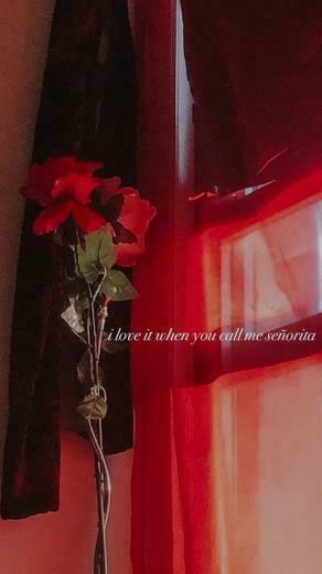 Camila Cabello Background