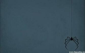 Spider Wallpaper Poisonous And Deadly Spiders HD