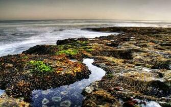 Pebbles Beach Desktop Pc And Mac Wallpaper