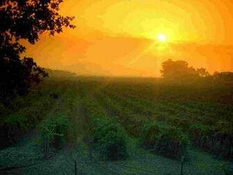 HD Wallpaper Napa Valley Wine Country Map X Kb Jpeg