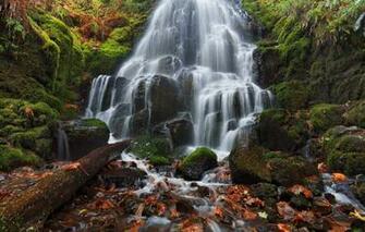 Fairy Falls Trail Columbia River Gorge Oregon Wallpaper