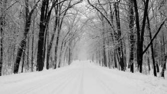 Wallpaper Winter Snowy Road HD For iPhone